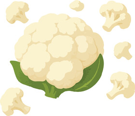 Creamy white cauliflower florets scattered around a central head