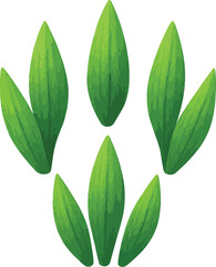 Five Green Leaves Arrangement plant nature