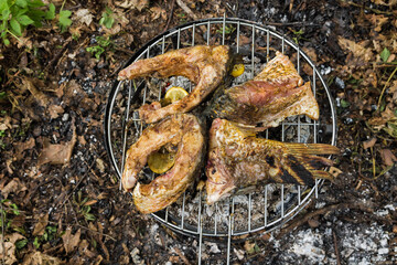 Cooking barbecue in the woods. Cooking fish in nature.