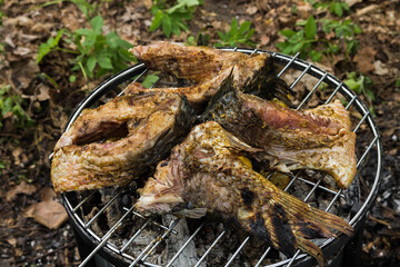 Fish barbecue. Fish on the grill.