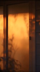 Warm Golden Sunlight Filtering Through Frosted Glass Door Casting Delicate Plant Shadows on Wooden Frame