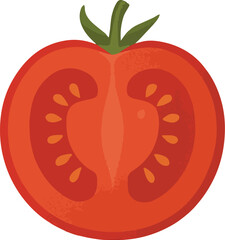 Red Tomato Slice with Green Stem vector
