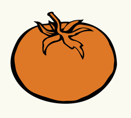 Tomatoes. Vector drawing icon sign