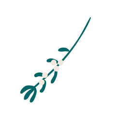 Fototapeta premium Single mistletoe branch with leaves, berries isolated on transparent. Hand drawn flat vector illustration. Traditional holiday, Xmas, New Year, seasonal design element, clip art