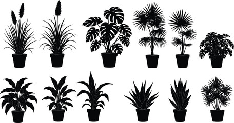 Black plant silhouettes, indoor foliage icons, potted plant shapes, minimalist botanical design, houseplant vector set, decorative leaf collection