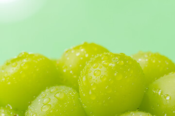 シャインマスカット