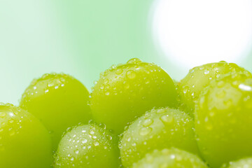 シャインマスカット