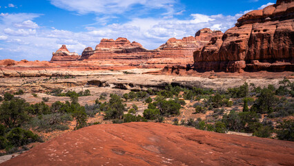 Fototapeta premium hiking near moab in canyonlands the needles in utah, usa