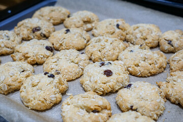 Freshly baked ANZAC biscuits on parchment paper and a baking tray, just out of the oven.