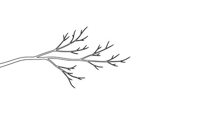 Fototapeta premium Minimalist Silhouette of a Twig Against Darkness, Evoking Abstract And Subtle Art