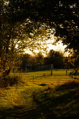 bench at sunset in the willage
