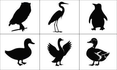 Collection of diverse bird silhouettes on a white background
