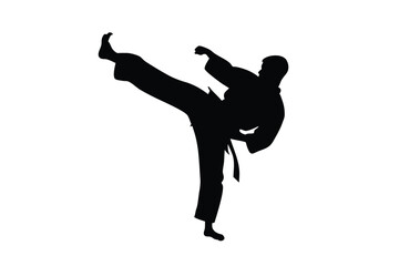 Focused athlete executes a precise high kick on a square mat in sharp silhouette