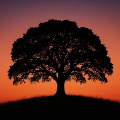 Silhouette of large tree at sunset or sunrise