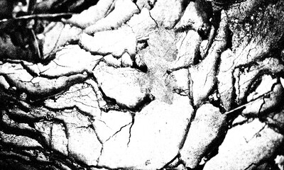 Grunge Background Black and white abstract texture of cracked dry earth or mud with visible leaf imprint isolated on a transparent background