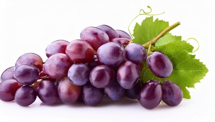 Purple Grape Isolated On White