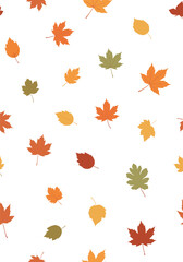 A delightful scattering of autumn leaves in various warm colors.