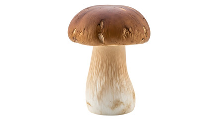Porcino mushroom isolated on transparent background, a delicious and edible fungus