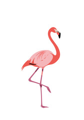 A stunning pink flamingo stands gracefully on one leg.