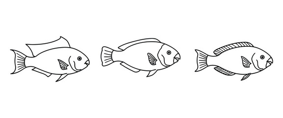 Simple Freshwater Fish Outline Vector Artwork Graphic Elements