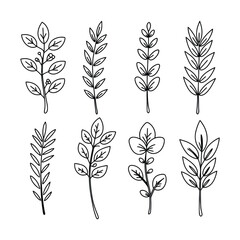Diverse Collection of Hand Drawn Botanical Leaf and Branch Line Art Elements