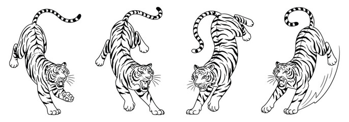 Dynamic Black and White Line Art Illustrations of Tigers in Action Poses animal