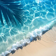 Tranquil scene of clear, sunlit ocean meeting sandy shore, with palm frond
