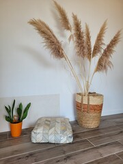 living room interior