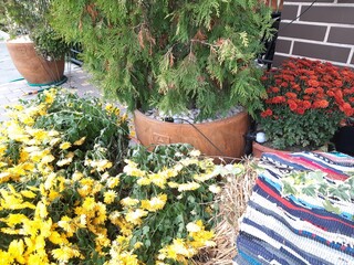 gardening tools and flowers