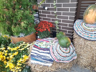 Golden autumn. Autumn flowers.