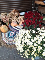 young woman sitting on a bench in the garden