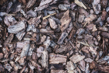 Decorative mulch from pieces of bark.