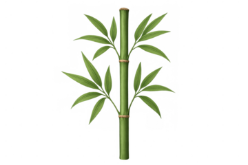 Green bamboo stalk with leaves providing a calm, natural, and spiritual feeling, perfect for zen themes