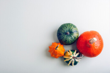Colorful autumn pumpkins on light background. Thanksgiving, Halloween concept. Top view, flat lay, copy space