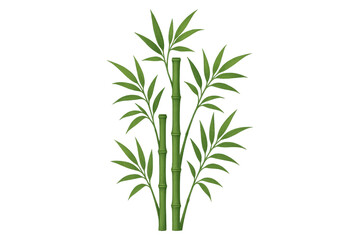 Fototapeta premium Bamboo plant with green leaves, an asian zen nature element providing growth and harmony, transparent background