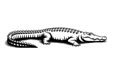 Obraz premium Detailed black and white hand drawn crocodile illustration, perfect for wildlife, nature, or educational animal design and artistic projects.