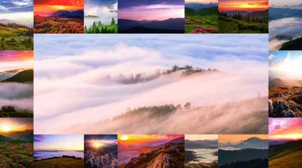 Foto op Canvas Zomer amazing summer mountains collage, wonderful nature sunset  collection, Carpathian mountains, Ukraine, Europe  © Rushvol