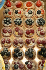 Fototapeta premium Assorted Mini Fruit Tarts with Powdered Sugar Topping