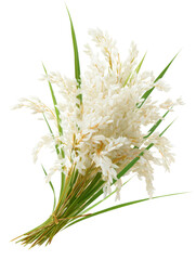 Fototapeta premium bunch of wheat