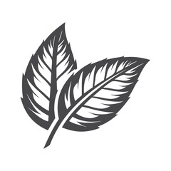 Fototapeta premium Two stylized leaves present an organic monochrome emblem suitable for several applications