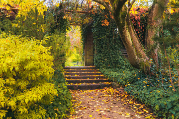 Złota jesień w parku &ndash; alejki, liście i spok&oacute;j natury
