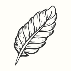 Obraz premium Simple feather drawing features an elegant black outline against a clean white background