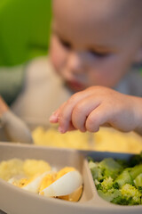 Close-up shot of small hand touching and picking at corn cereal, steamed broccoli and boiled egg. Important sensory experience during weaning period.
