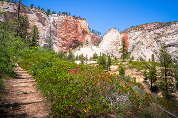 hiking in zion national park in utah, usa
