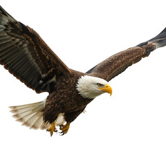 Fototapeta premium Majestic Bald Eagles in Flight and Perched on Branches with Neon Glow and Natural Backgrounds, Symbol of Freedom and Power in Wildlife and Modern Digital Art Style