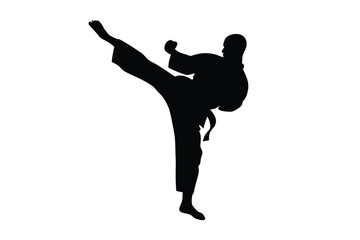 Silhouette shows barefoot male athlete performing a side kick in karate practice gracefully
