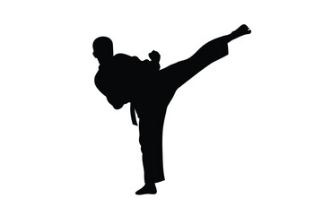Silhouette depicts a martial artist wearing gi while performing a kick maneuver expertly