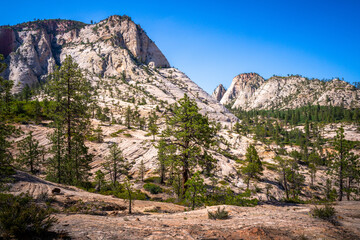 Fototapeta premium hiking in zion national park in utah, usa