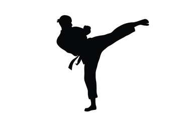 Silhouette shows a martial arts expert powerfully executing a high kick in his uniform