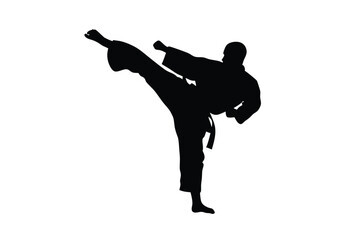 Silhouette shows martial artist in uniform performing side kick on a white background